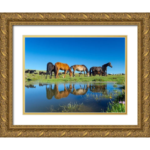Horses on their mountain pasture at lake Song Kol  Gold Ornate Wood Framed Art Print with Double Matting by Zwick, Martin