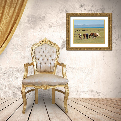 Horses on their mountain pasture at lake Song Kol  Gold Ornate Wood Framed Art Print with Double Matting by Zwick, Martin