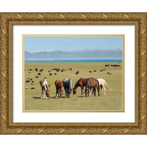 Horses on their mountain pasture at lake Song Kol  Gold Ornate Wood Framed Art Print with Double Matting by Zwick, Martin