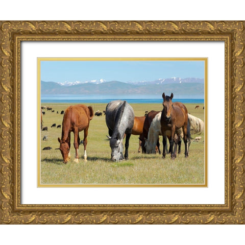 Horses on their mountain pasture at lake Song Kol  Gold Ornate Wood Framed Art Print with Double Matting by Zwick, Martin