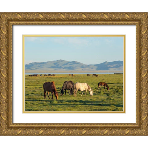 Horses on their mountain pasture at lake Song Kol  Gold Ornate Wood Framed Art Print with Double Matting by Zwick, Martin
