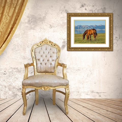 Horses on their mountain pasture at lake Song Kol  Gold Ornate Wood Framed Art Print with Double Matting by Zwick, Martin