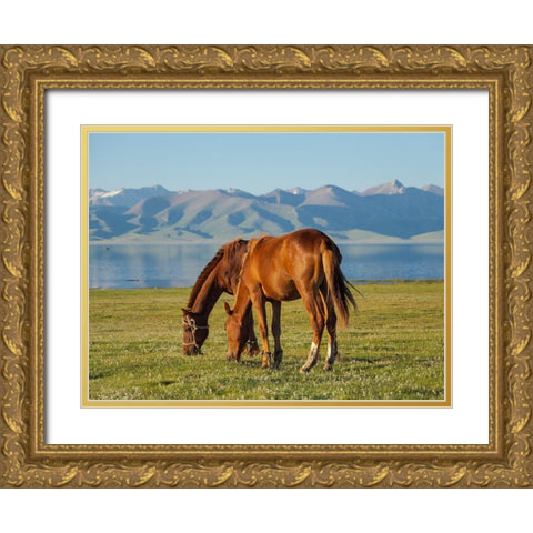 Horses on their mountain pasture at lake Song Kol  Gold Ornate Wood Framed Art Print with Double Matting by Zwick, Martin