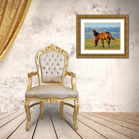 Horses on their mountain pasture at lake Song Kol  Gold Ornate Wood Framed Art Print with Double Matting by Zwick, Martin