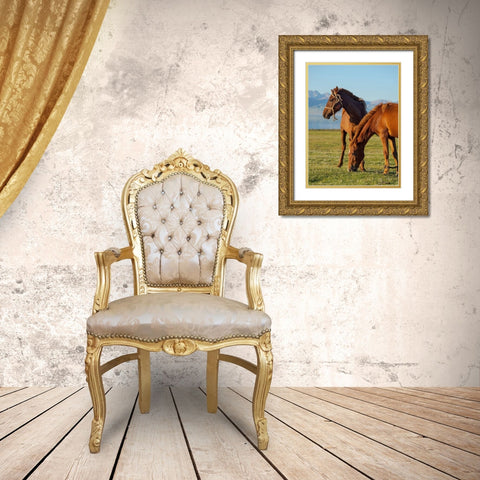 Horses on their mountain pasture at lake Song Kol  Gold Ornate Wood Framed Art Print with Double Matting by Zwick, Martin
