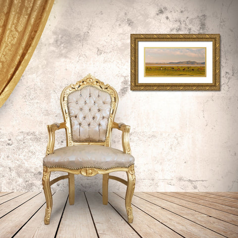 Horses on their mountain pasture at lake Song Kol  Gold Ornate Wood Framed Art Print with Double Matting by Zwick, Martin