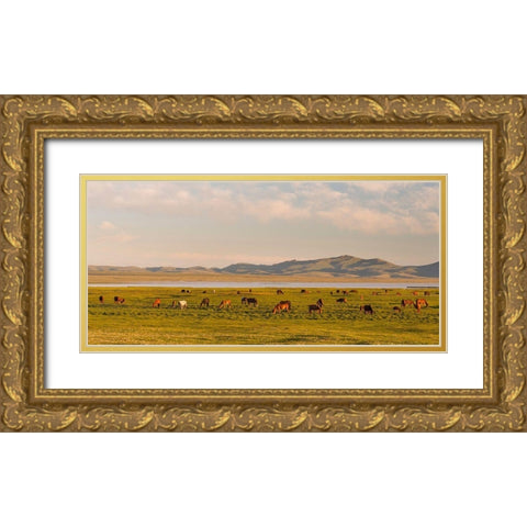 Horses on their mountain pasture at lake Song Kol  Gold Ornate Wood Framed Art Print with Double Matting by Zwick, Martin