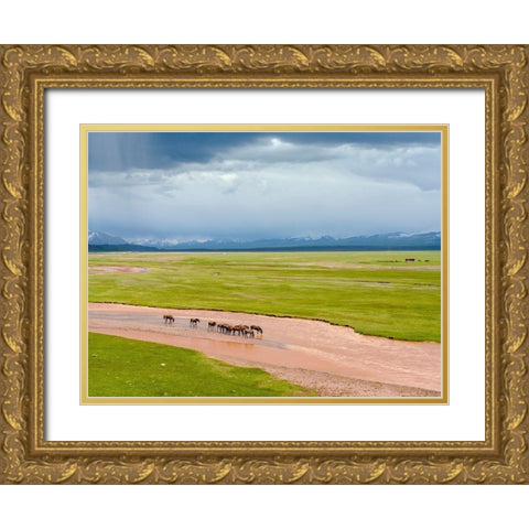 Horses in the Alay Valley and the Trans-Alay Range in the Pamir Mountains  Gold Ornate Wood Framed Art Print with Double Matting by Zwick, Martin