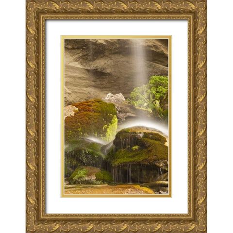 New Zealand, Paparoa NP Waterfall striking rocks Gold Ornate Wood Framed Art Print with Double Matting by Illg, Cathy and Gordon