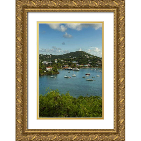 Caribbean, USA Virgin Islands, St John Cruz Bay Gold Ornate Wood Framed Art Print with Double Matting by Illg, Cathy and Gordon