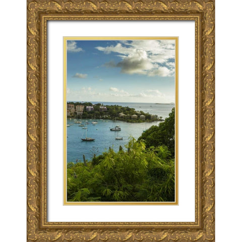 Caribbean, USA Virgin Islands, St John Cruz Bay Gold Ornate Wood Framed Art Print with Double Matting by Illg, Cathy and Gordon
