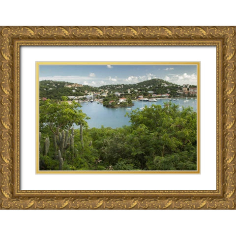 Caribbean, USA Virgin Islands, St John Cruz Bay Gold Ornate Wood Framed Art Print with Double Matting by Illg, Cathy and Gordon