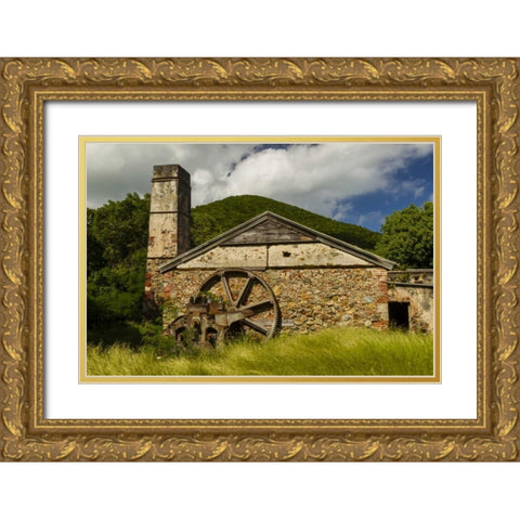 USA Virgin Islands, St John Ruins of sugar mill Gold Ornate Wood Framed Art Print with Double Matting by Illg, Cathy and Gordon