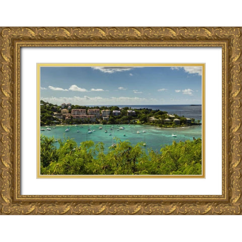 Caribbean, USA Virgin Islands, St John Cruz Bay Gold Ornate Wood Framed Art Print with Double Matting by Illg, Cathy and Gordon