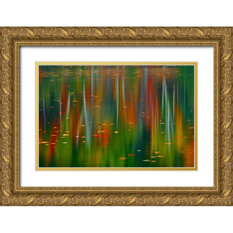 Canada, Ontario Autumn at Horseshoe Lake Gold Ornate Wood Framed Art Print with Double Matting by Grandmaison, Mike