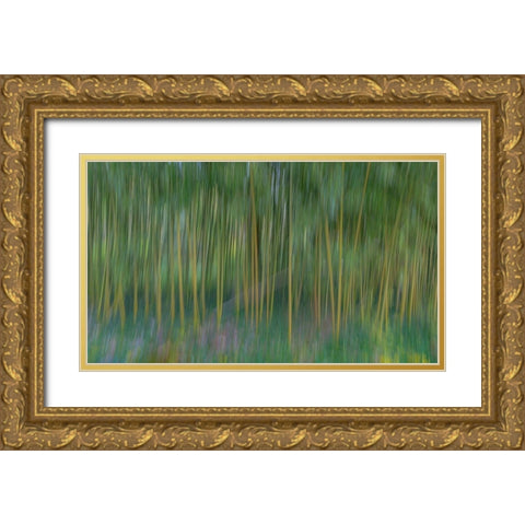 France-Giverny Abstract of bamboo forest in Monets Garden Gold Ornate Wood Framed Art Print with Double Matting by Jaynes Gallery