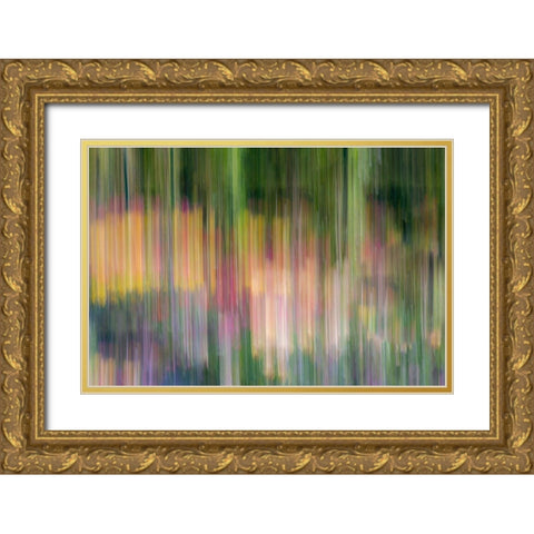 France-Giverny Abstract of flowers in Monets Garden Gold Ornate Wood Framed Art Print with Double Matting by Jaynes Gallery