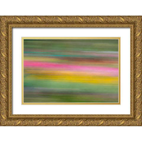 France-Giverny Abstract of flowers in Monets Garden Gold Ornate Wood Framed Art Print with Double Matting by Jaynes Gallery