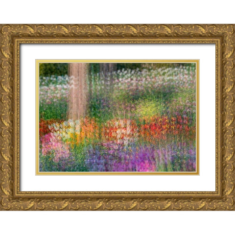 France-Giverny Impression of flowers in Monets Garden Gold Ornate Wood Framed Art Print with Double Matting by Jaynes Gallery