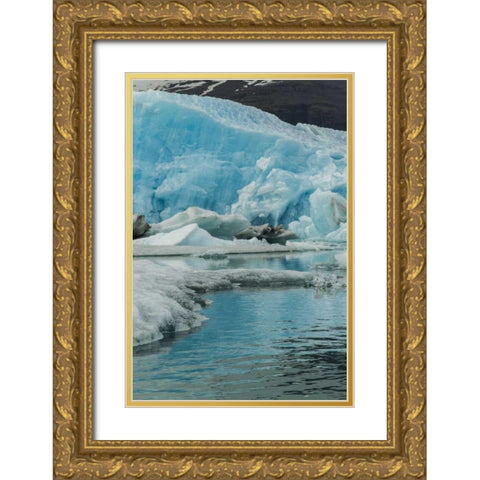 Iceland, Jokusarlon Iceberg reflects in water Gold Ornate Wood Framed Art Print with Double Matting by Illg, Cathy and Gordon