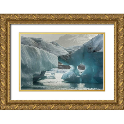 Europe, Iceland, Jokusarlon Iceberg formations Gold Ornate Wood Framed Art Print with Double Matting by Illg, Cathy and Gordon