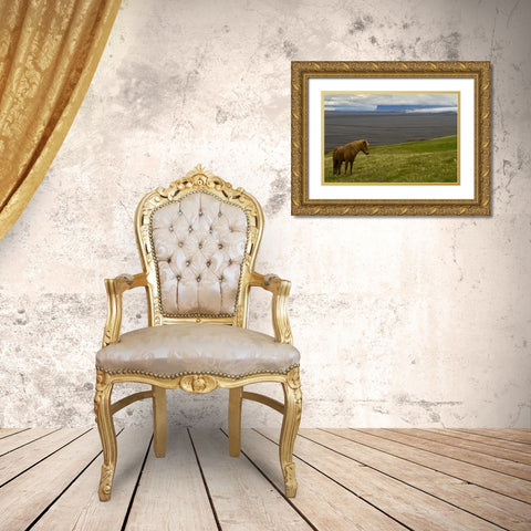 Iceland, Skaftafell NP Icelandic horse Gold Ornate Wood Framed Art Print with Double Matting by Illg, Cathy and Gordon