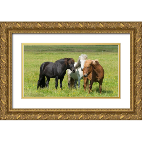 Horses on the ranch-south Iceland Gold Ornate Wood Framed Art Print with Double Matting by Su, Keren