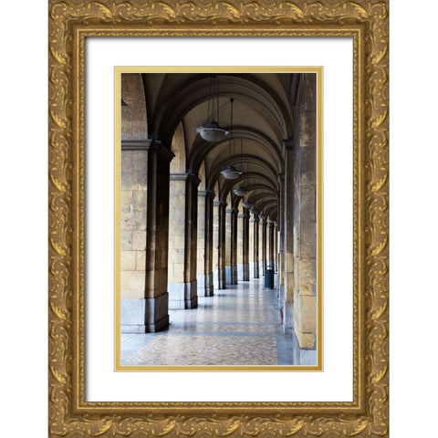 Italy-Tuscany-Pisa Vertical shot of a hallway in the streets of Pisa Gold Ornate Wood Framed Art Print with Double Matting by Eggers, Julie