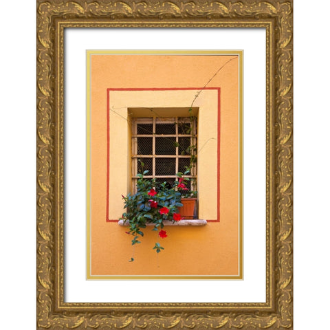 Italy-Tuscany-Montepulciano Potted plant on a windowsill in the hill town of Montepulciano Gold Ornate Wood Framed Art Print with Double Matting by Eggers, Julie