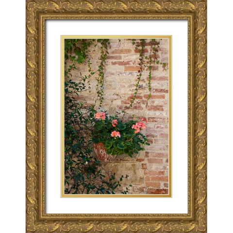 Italy-Tuscany-Montepulciano Geranium growing in a pot against an old brick building Gold Ornate Wood Framed Art Print with Double Matting by Eggers, Julie