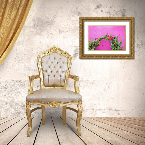 Italy-Venice-Burano Island Vining flowers against a bright pink wall on Burano Island Gold Ornate Wood Framed Art Print with Double Matting by Eggers, Julie