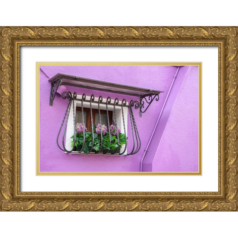 Italy-Venice-Burano Island Potted hydrangeas on a window sill of a lavender house Gold Ornate Wood Framed Art Print with Double Matting by Eggers, Julie