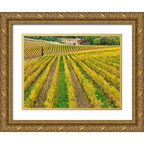 Italy-Tuscany Colorful vineyard in autumn Gold Ornate Wood Framed Art Print with Double Matting by Eggers, Julie