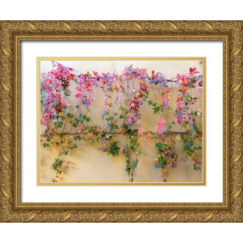 Italy-Tuscany-Pienza Colorful vines hanging on a wall along the streets Gold Ornate Wood Framed Art Print with Double Matting by Eggers, Julie