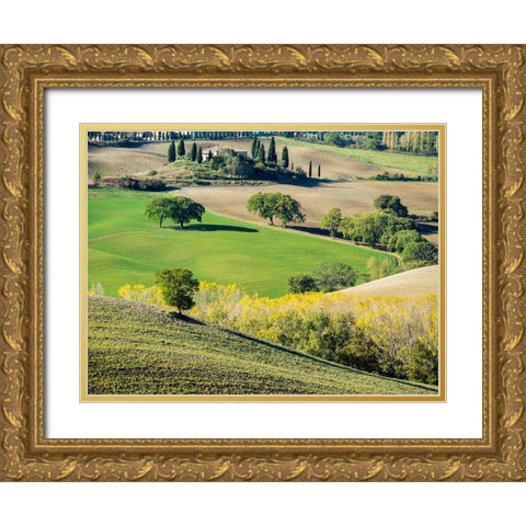 Italy-Tuscany Tuscan landscape Gold Ornate Wood Framed Art Print with Double Matting by Eggers, Julie