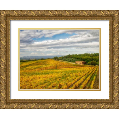 Italy-Tuscany Colorful vineyard in autumn Gold Ornate Wood Framed Art Print with Double Matting by Eggers, Julie