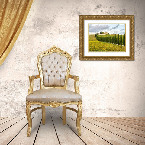 Italy-Tuscany Road lined with Italian cypress trees leading to a villa Gold Ornate Wood Framed Art Print with Double Matting by Eggers, Julie
