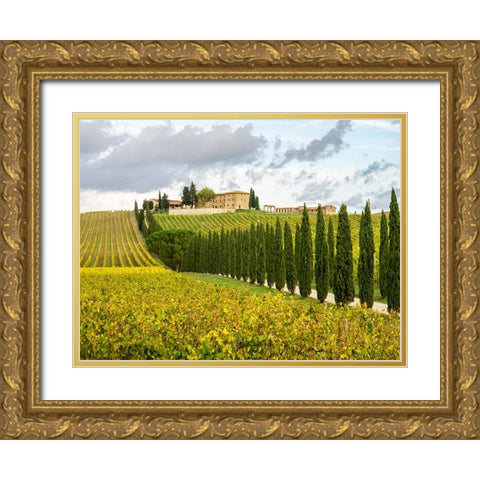 Italy-Tuscany Road lined with Italian cypress trees leading to a villa Gold Ornate Wood Framed Art Print with Double Matting by Eggers, Julie
