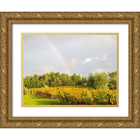 Italy-Tuscany Colorful vineyard and rainbow in autumn Gold Ornate Wood Framed Art Print with Double Matting by Eggers, Julie