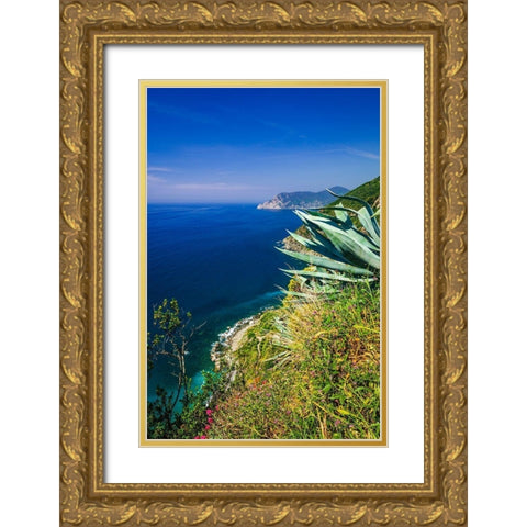 The Ligurian Sea from the Sentiero Azzurro (Blue Trail) near Vernazza-Cinque Terre-Liguria-Italy Gold Ornate Wood Framed Art Print with Double Matting by Bishop, Russ