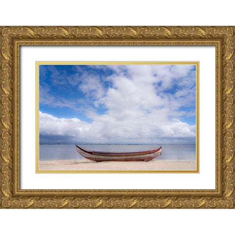 Europe-Portugal-Torreira-Traditional fishing boat on beach Gold Ornate Wood Framed Art Print with Double Matting by Jaynes Gallery