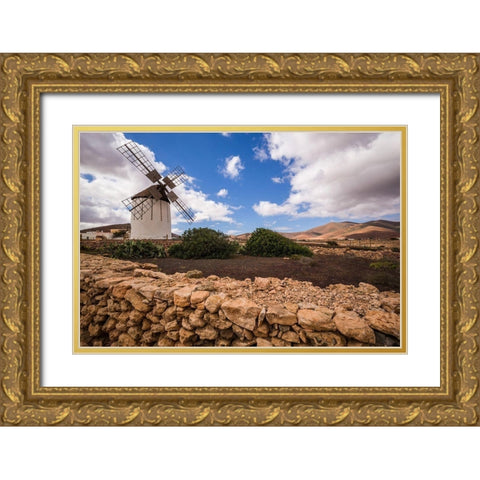 Canary Islands-Fuerteventura Island-Tiscamanita-traditional island windmill Gold Ornate Wood Framed Art Print with Double Matting by Bibikow, Walter