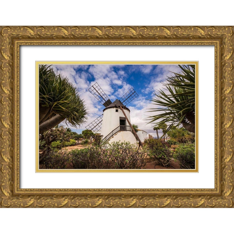 Canary Islands-Fuerteventura Island-Antigua-traditional island windmill Gold Ornate Wood Framed Art Print with Double Matting by Bibikow, Walter