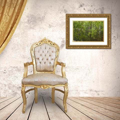 Scotland, Cairngorm NP Calm lake in forest Gold Ornate Wood Framed Art Print with Double Matting by Illg, Cathy and Gordon