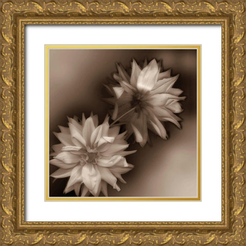 Sepia tone Dahlia Gold Ornate Wood Framed Art Print with Double Matting by Miller, Anna