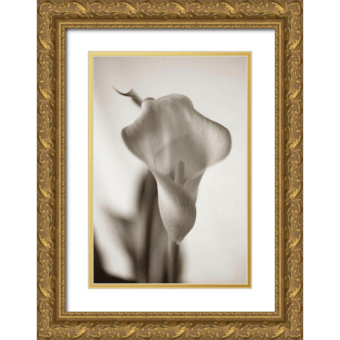Sepia tone Calla Lily Gold Ornate Wood Framed Art Print with Double Matting by Miller, Anna