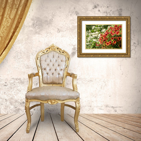 Hanging planters of Calibrachoa-or Million Bells or Trailing Petunia-They are herbaceous plants wit Gold Ornate Wood Framed Art Print with Double Matting by Horton, Janet