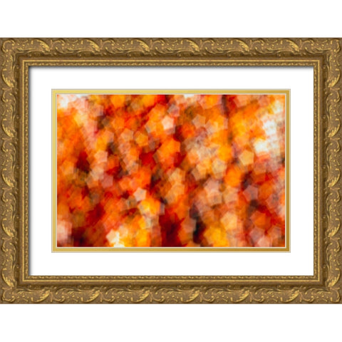Colorful fabric detail Gold Ornate Wood Framed Art Print with Double Matting by Muench, Zandria