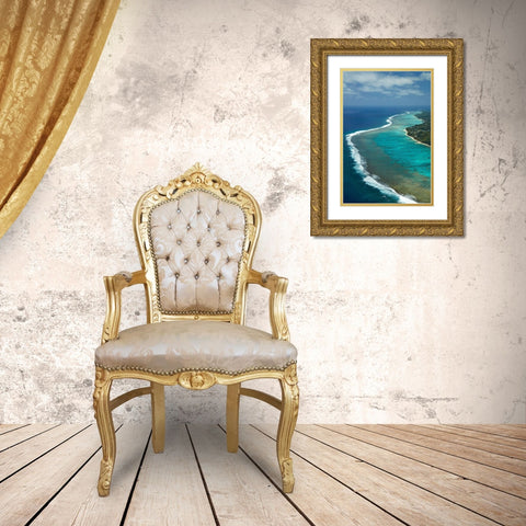 Reef-Southern Rarotonga-Cook Islands-South Pacific Gold Ornate Wood Framed Art Print with Double Matting by Wall, David