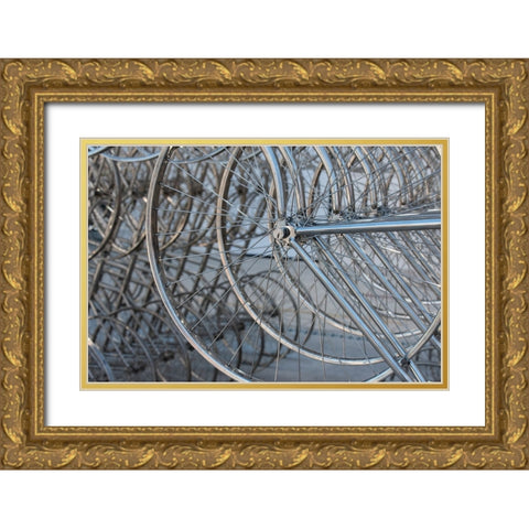 Metal bicycle wheels Gold Ornate Wood Framed Art Print with Double Matting by Hopkins, Cindy Miller